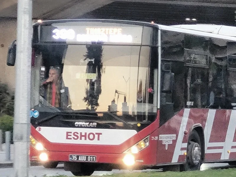 IMG_1513 (resized).webp