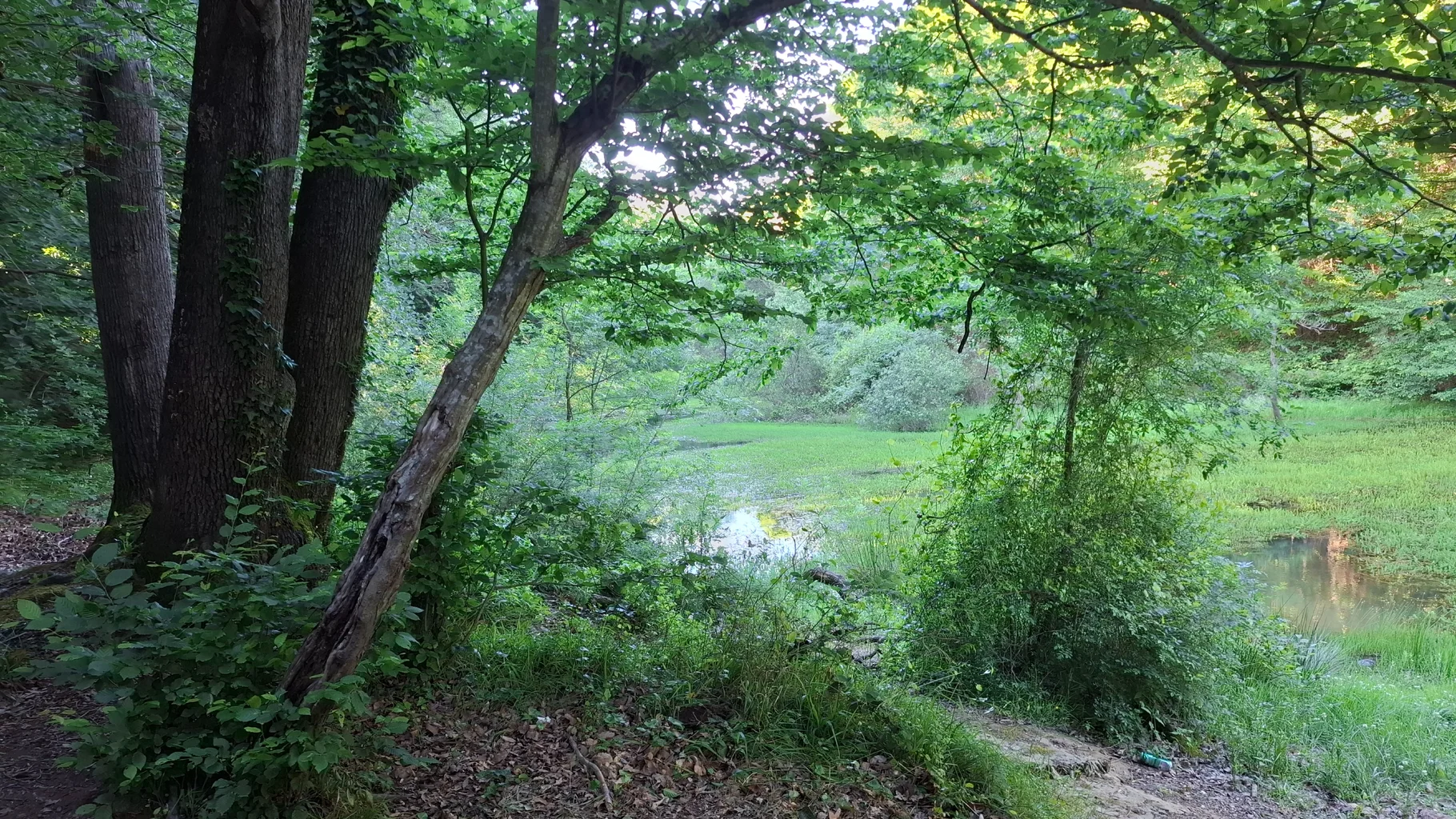 20250531_181718.jpg 20250531_181718.jpg