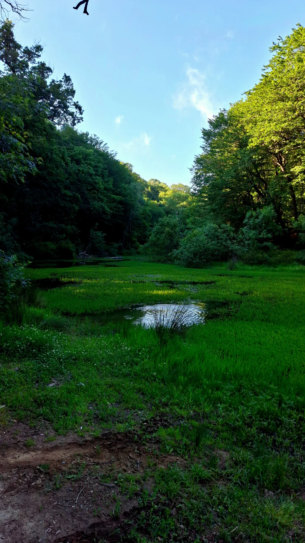 20250531_181756(1).jpg 20250531_181756(1).jpg