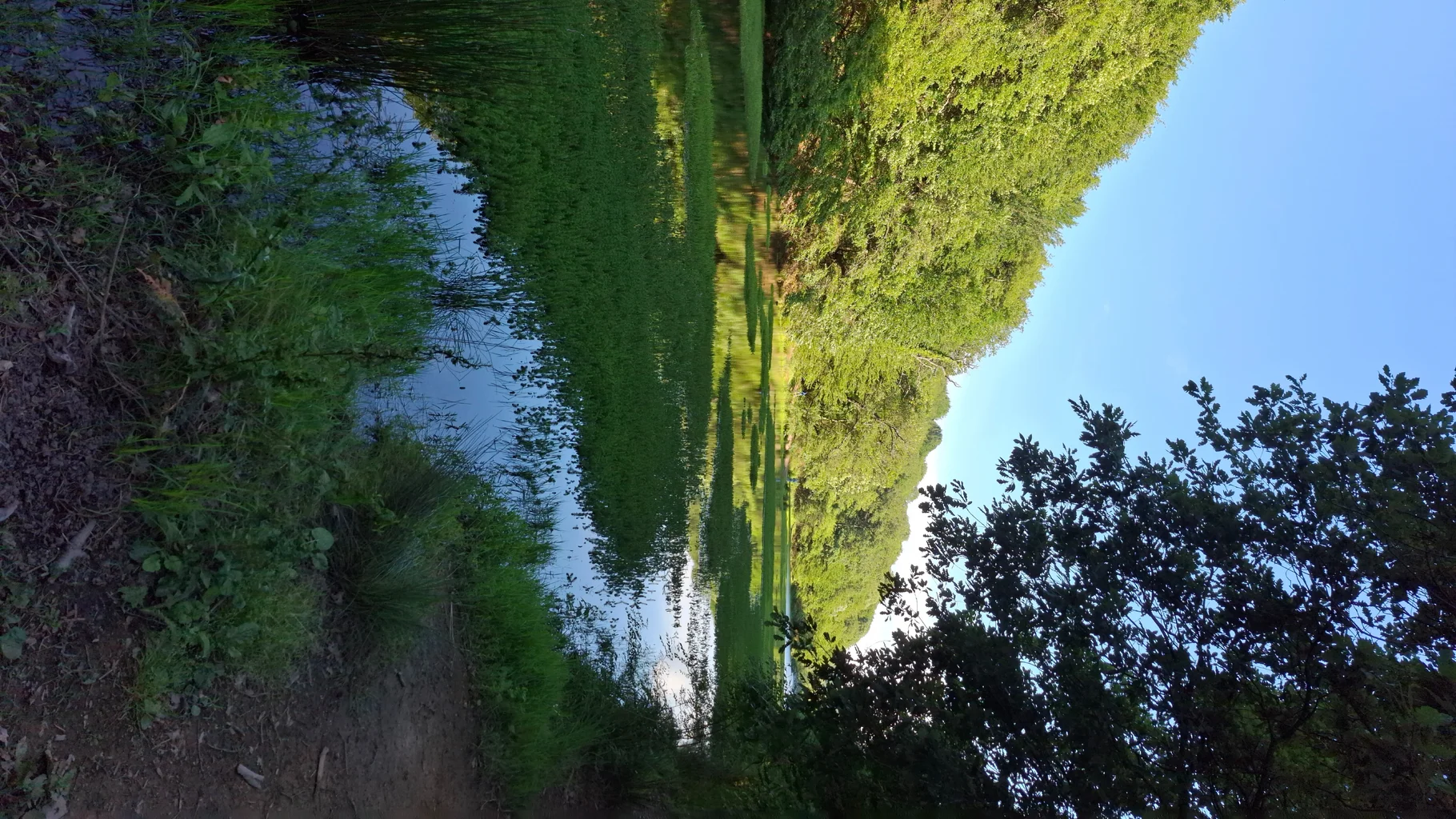 20250531_181750.jpg 20250531_181750.jpg