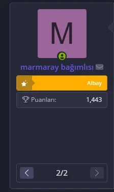 Ekran görüntüsü 2026-02-08 221108.png