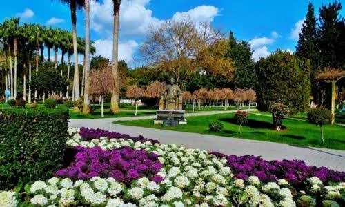 images - 2024-03-04T072125.031.webp