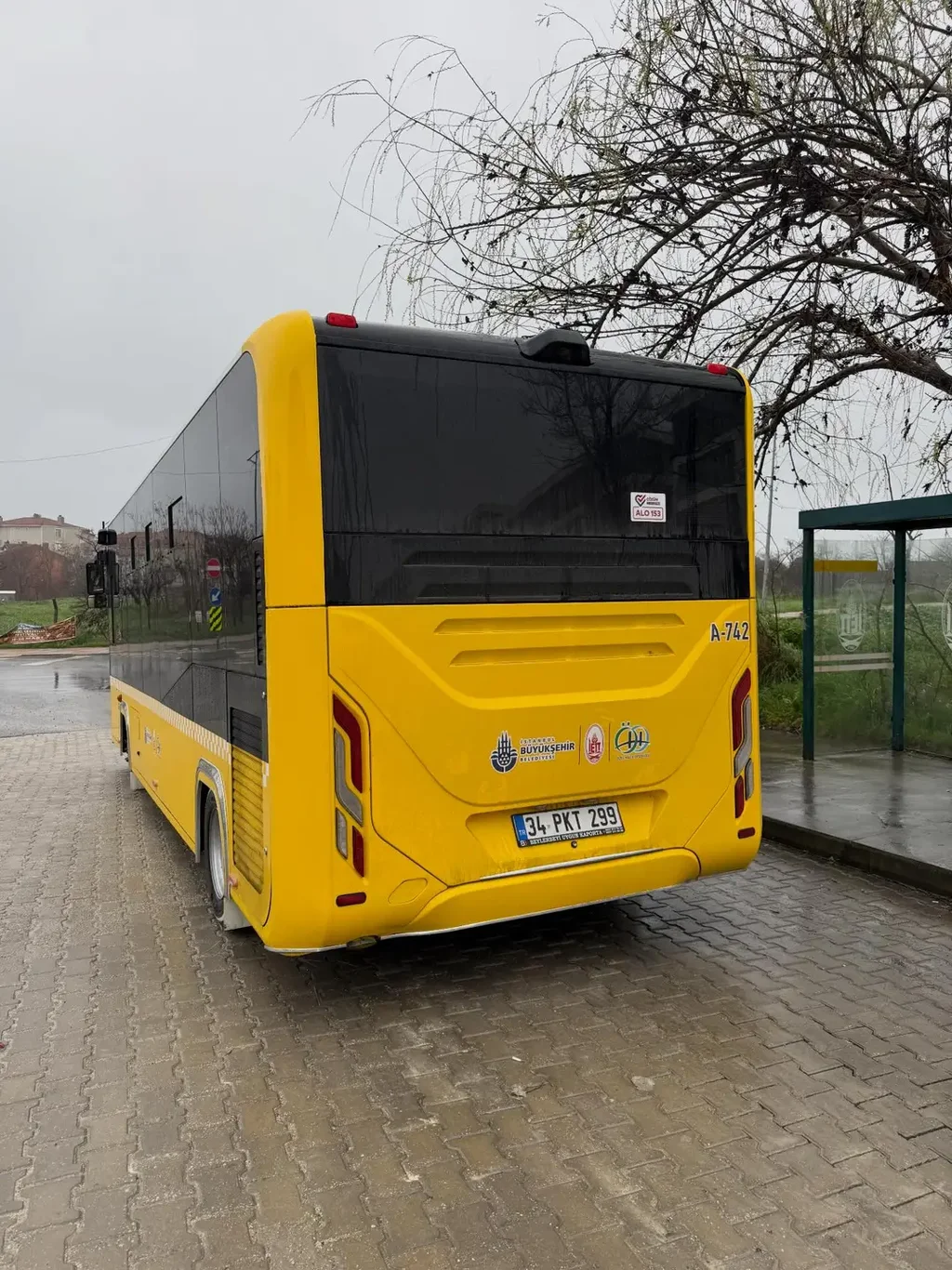 Facebook - 0004372768675943(image).webp