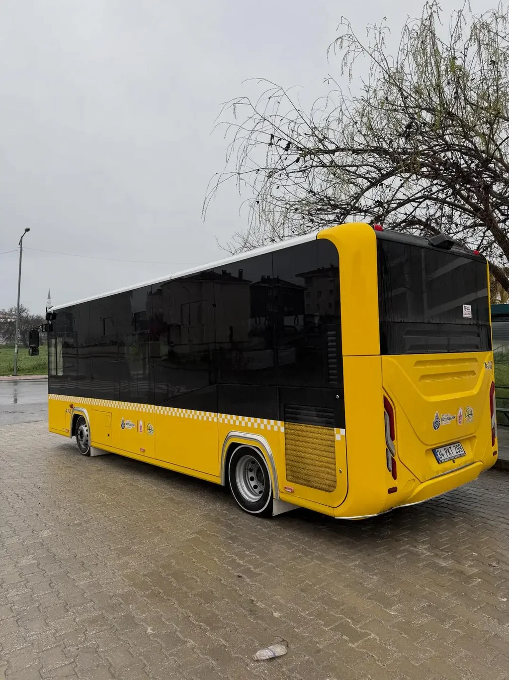 Facebook - 6119946885508451(image).webp