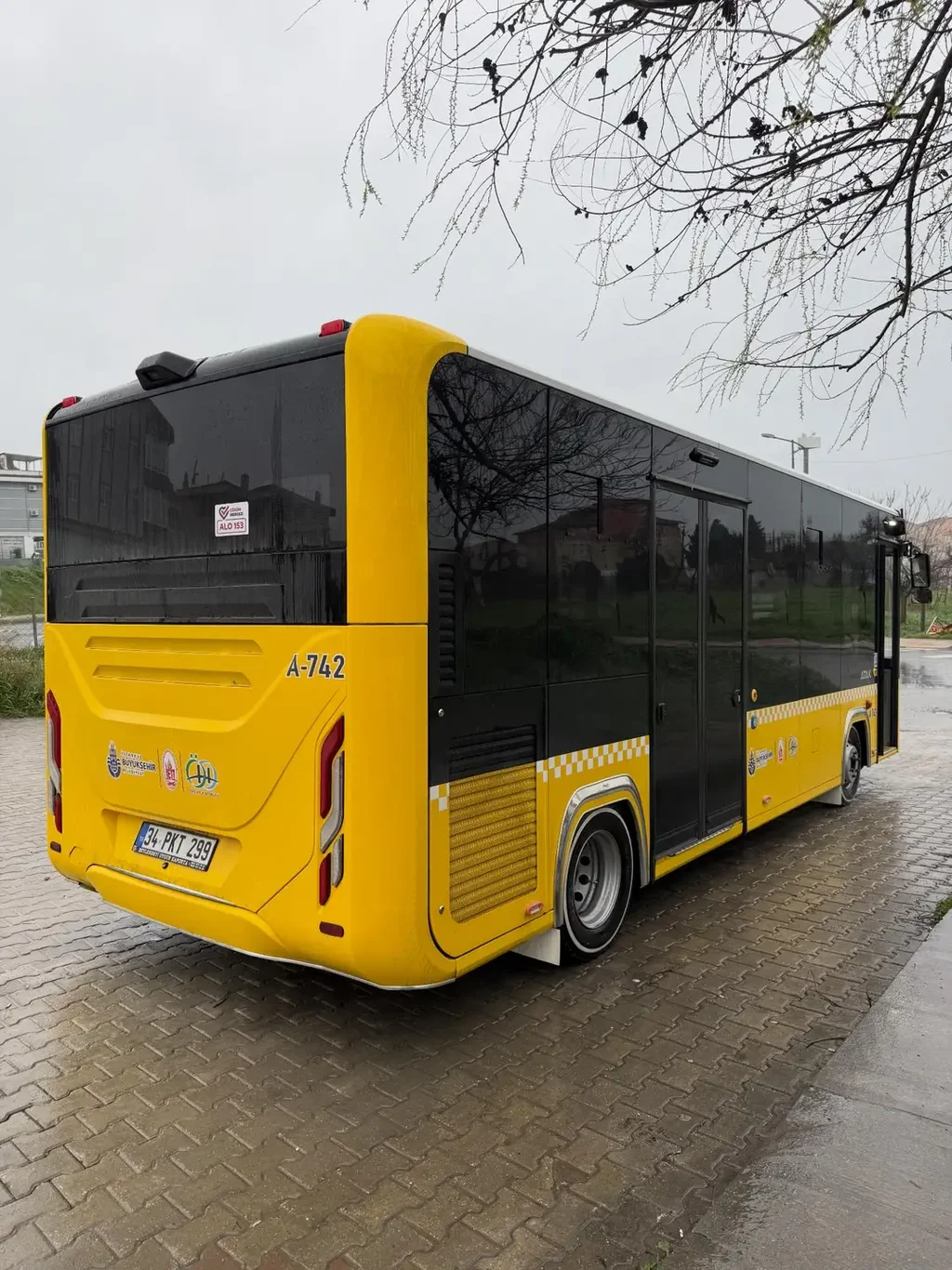 Facebook - 8354549216980815(image)_1.webp