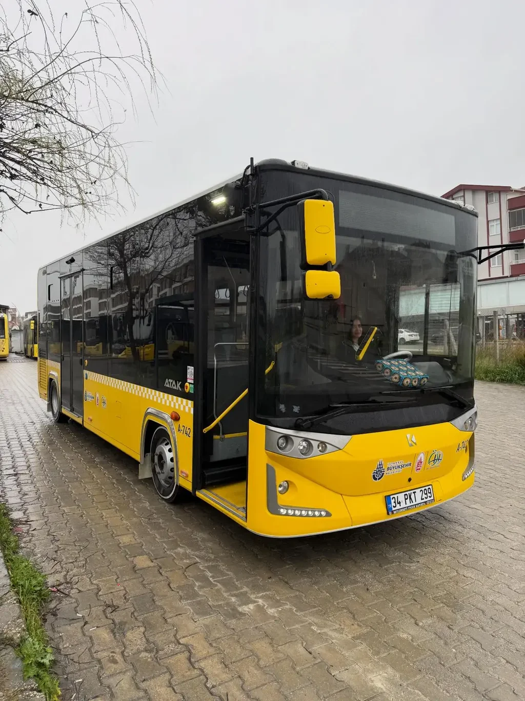 Facebook - 8354549216980815(image).webp