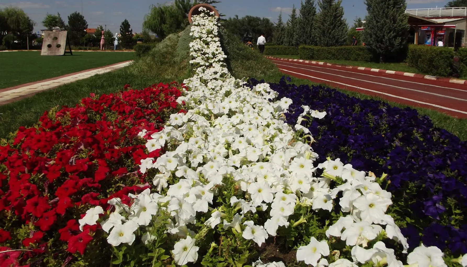 DSCF5417 paylaşıldı.webp