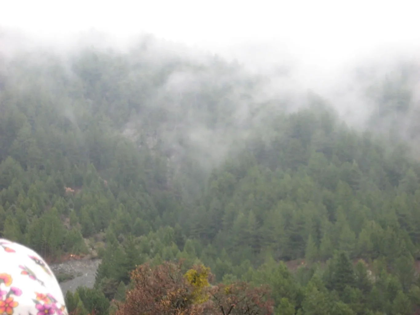 ilgazdan resimler (86).webp