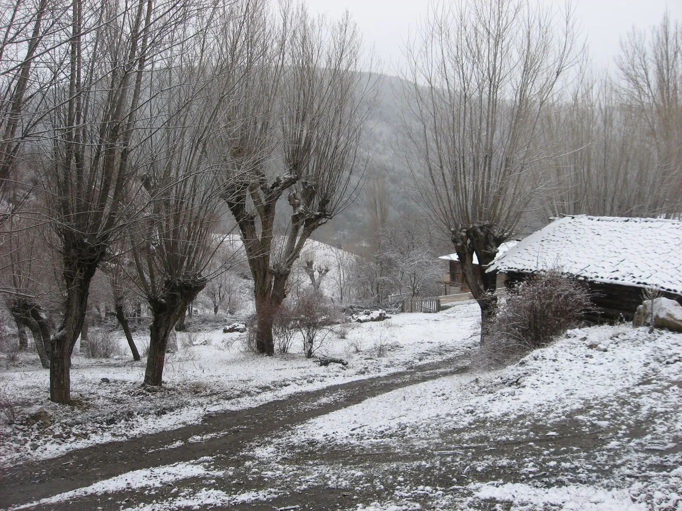 ilgazdan resimler (121).webp