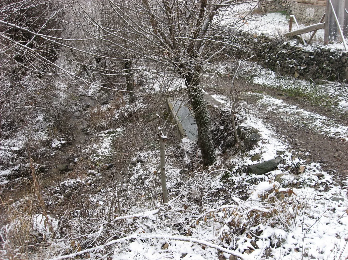 ilgazdan resimler (132).webp