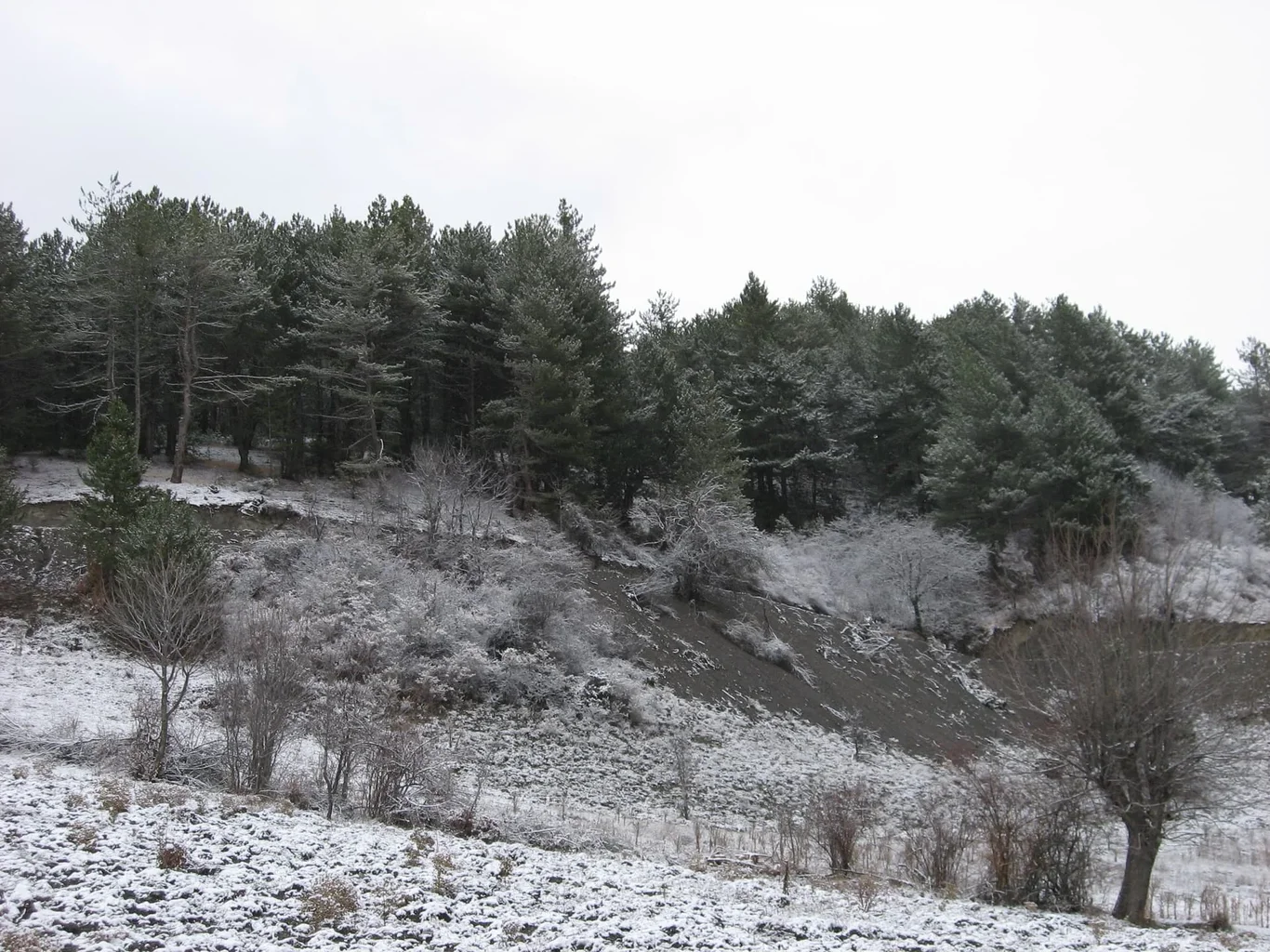 ilgazdan resimler (142).webp