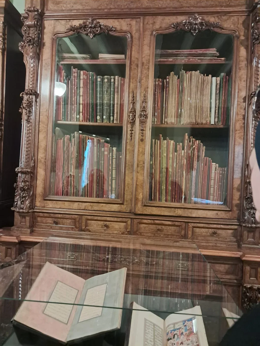 WhatsApp Image 2024-08-18 at 15.14.47 (1).webp