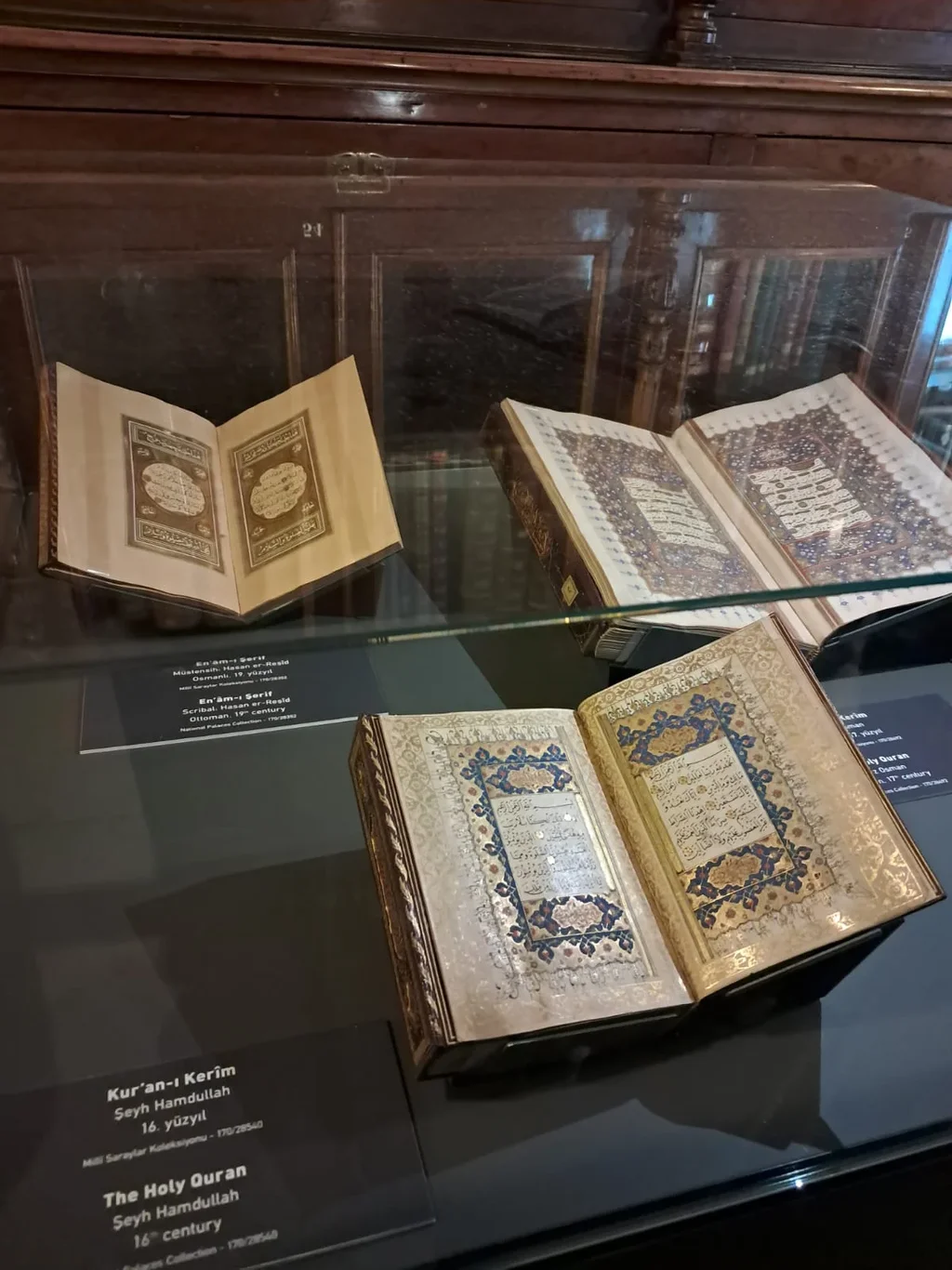 WhatsApp Image 2024-08-18 at 15.15.04 (2).webp