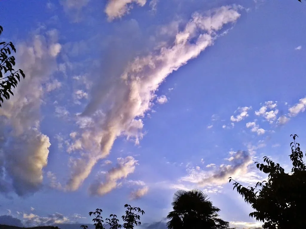 MehMet5207 (187).webp