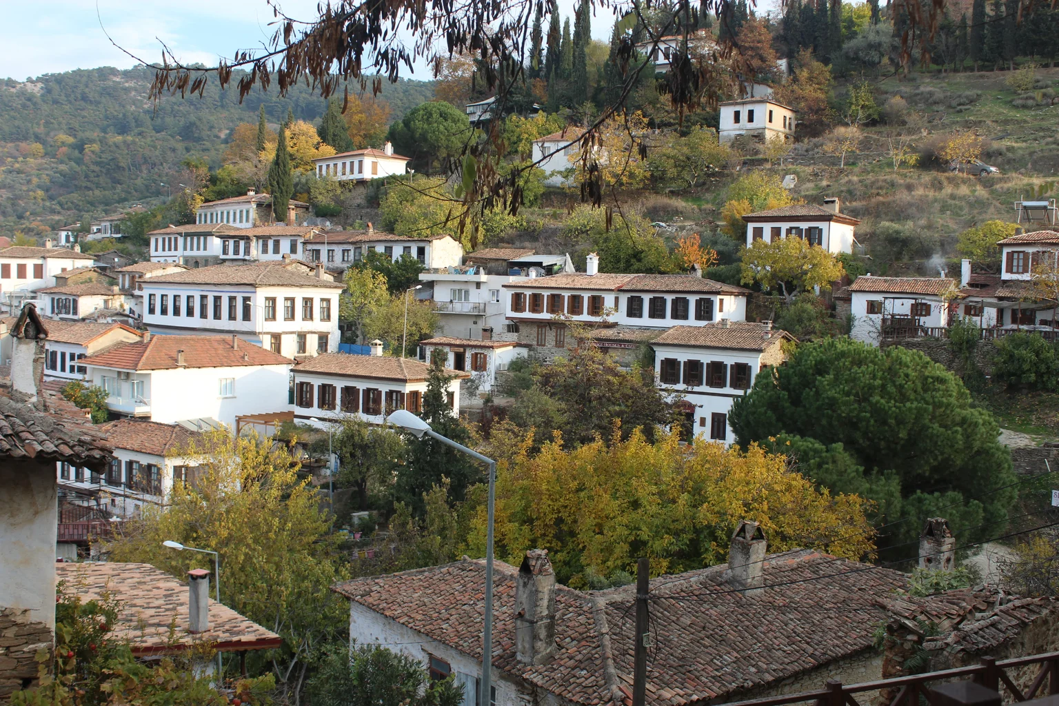 IMG_6224.webp IMG_6224.webp