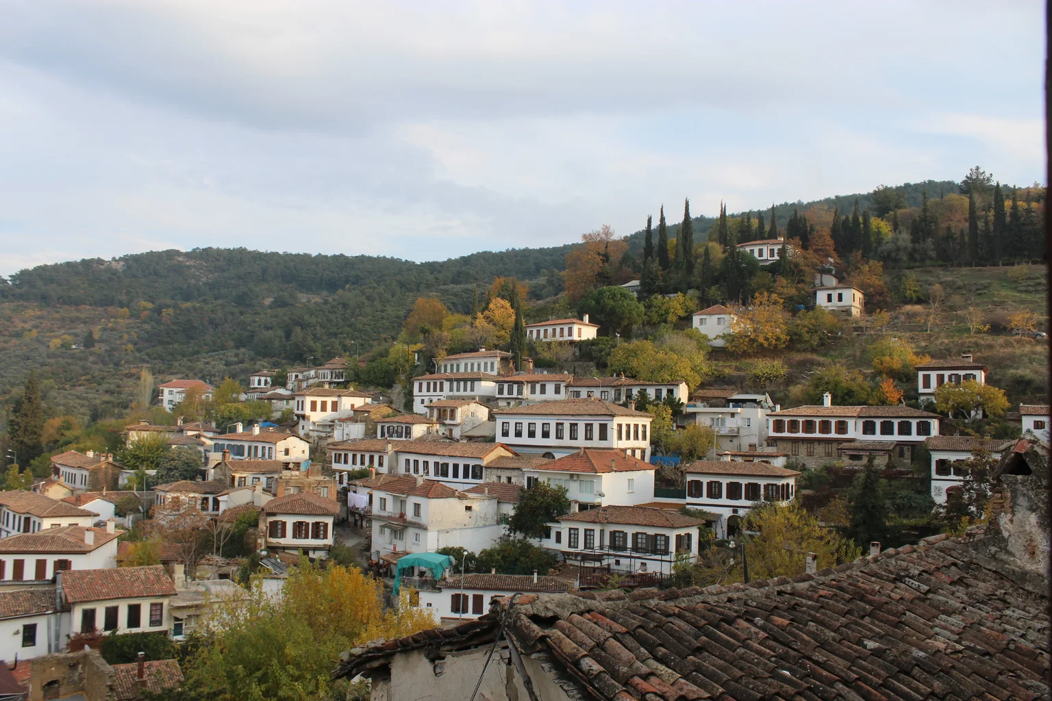 IMG_6261.webp IMG_6261.webp