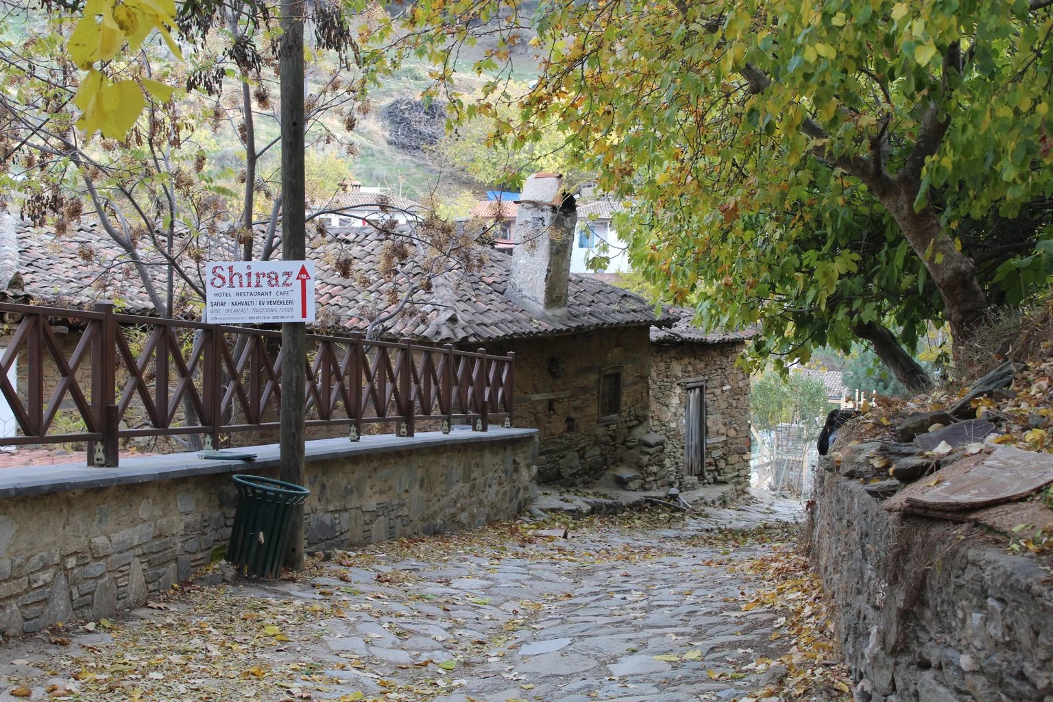 IMG_6237.webp IMG_6237.webp