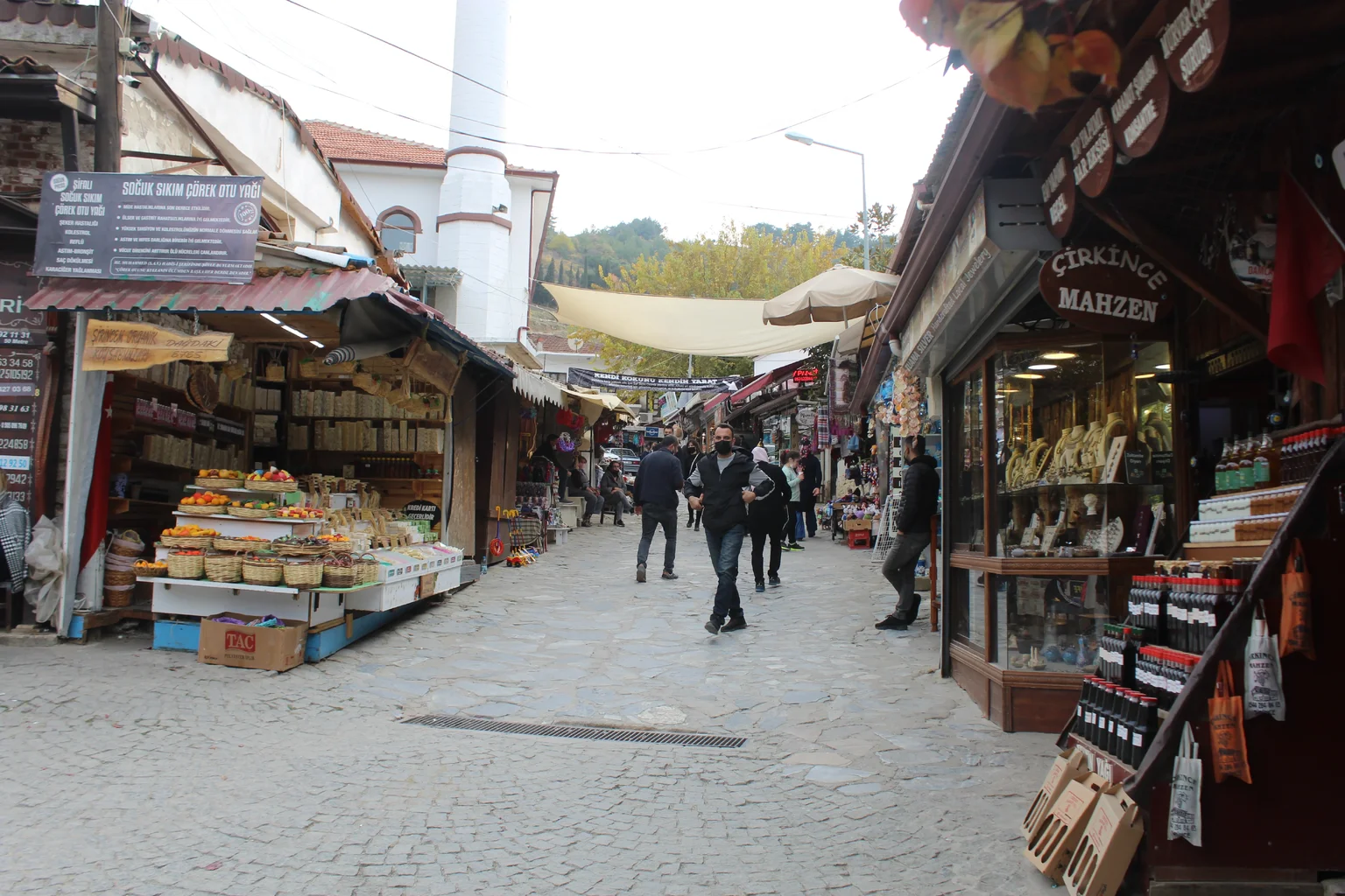 IMG_6207.webp IMG_6207.webp