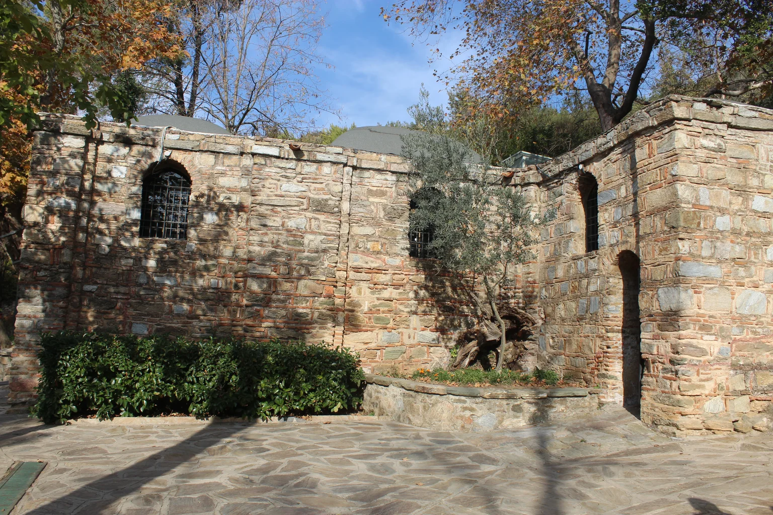 IMG_6165.webp IMG_6165.webp