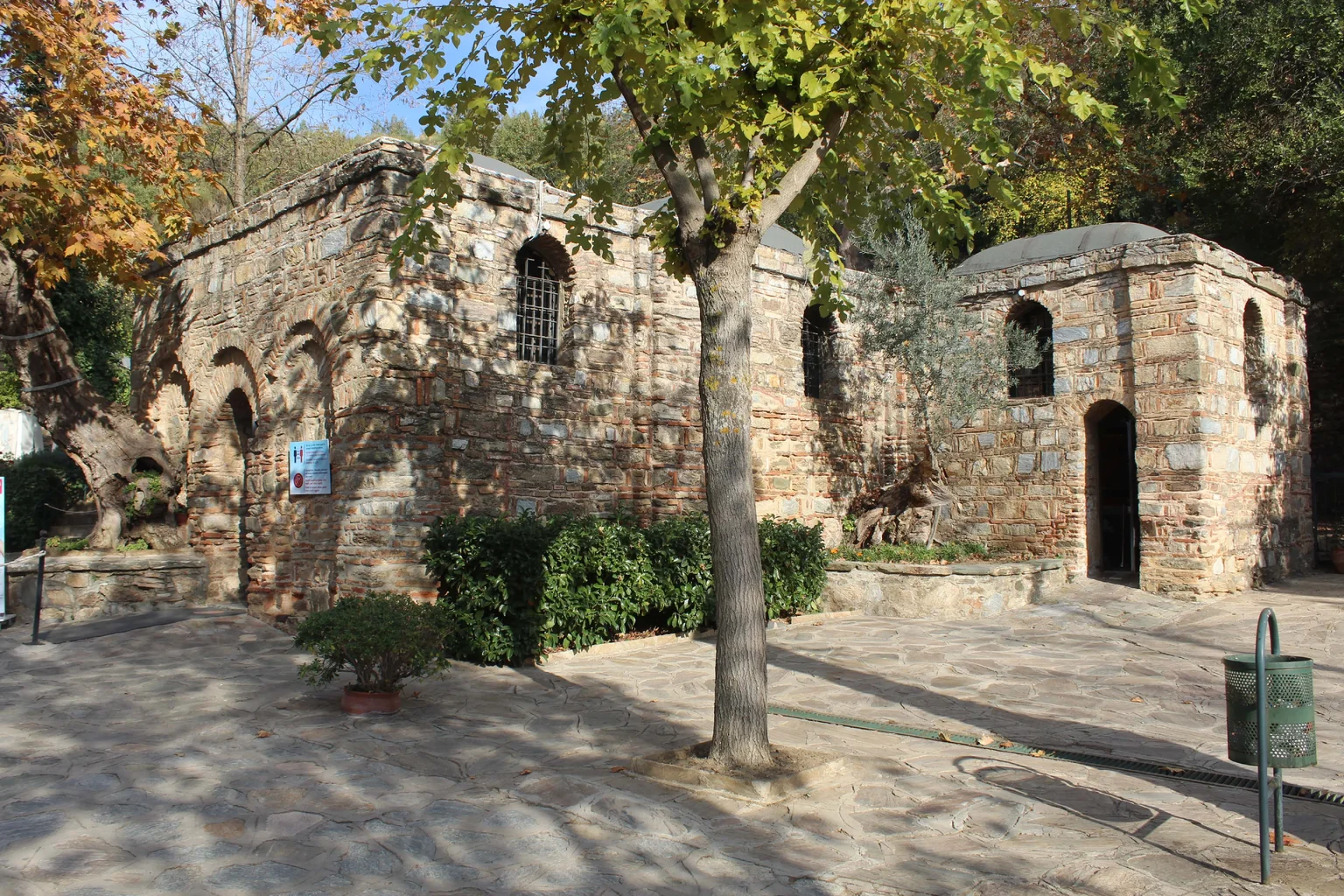 IMG_6166-min.webp IMG_6166-min.webp