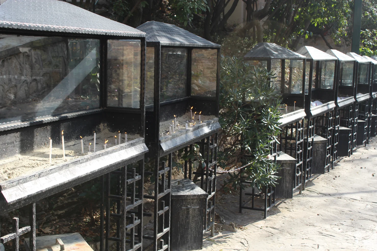 IMG_6171.webp IMG_6171.webp