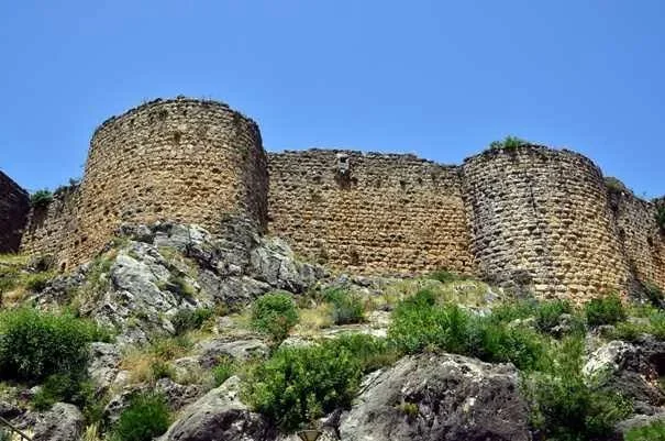 images - 2024-02-18T183806.424.webp