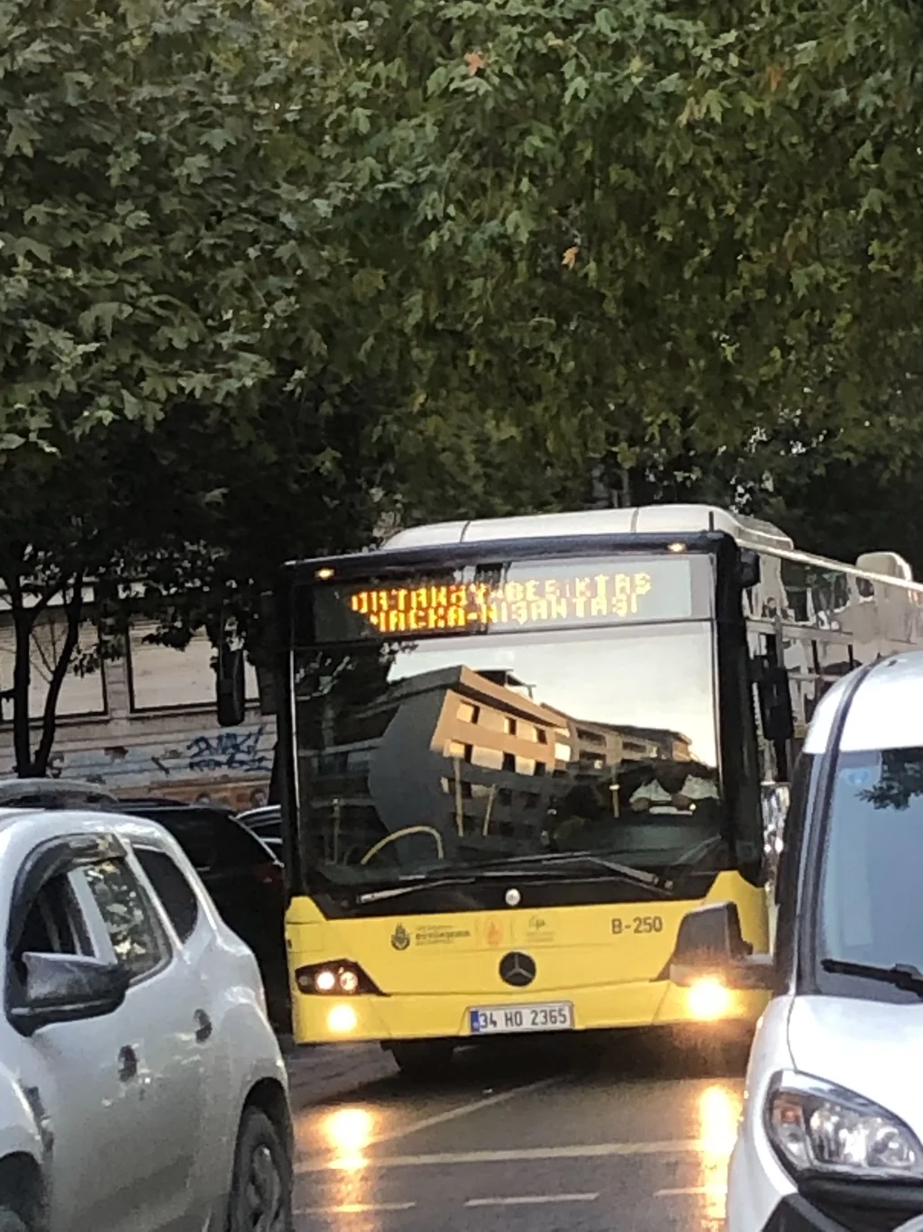 IMG_6952.webp IMG_6952.webp