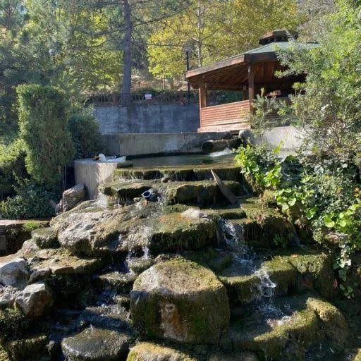 images - 2024-02-19T202114.284.webp