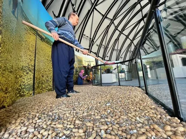 images - 2024-02-21T082800.303.webp