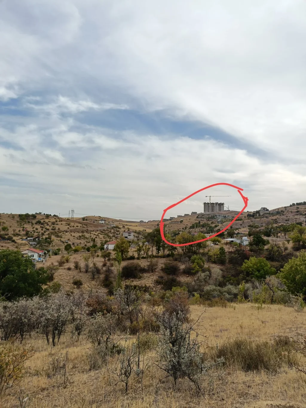 WhatsApp Image 2025-09-29 at 12.46.22.webp