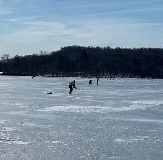 Donmus golde Hokey.webp