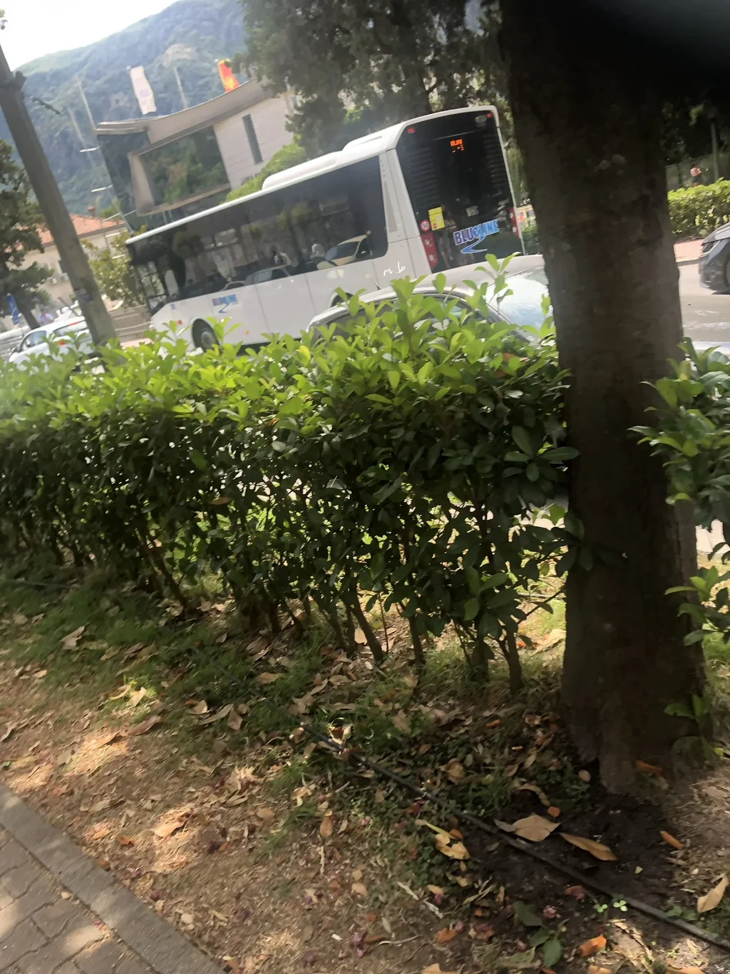 IMG_6510.webp IMG_6510.webp