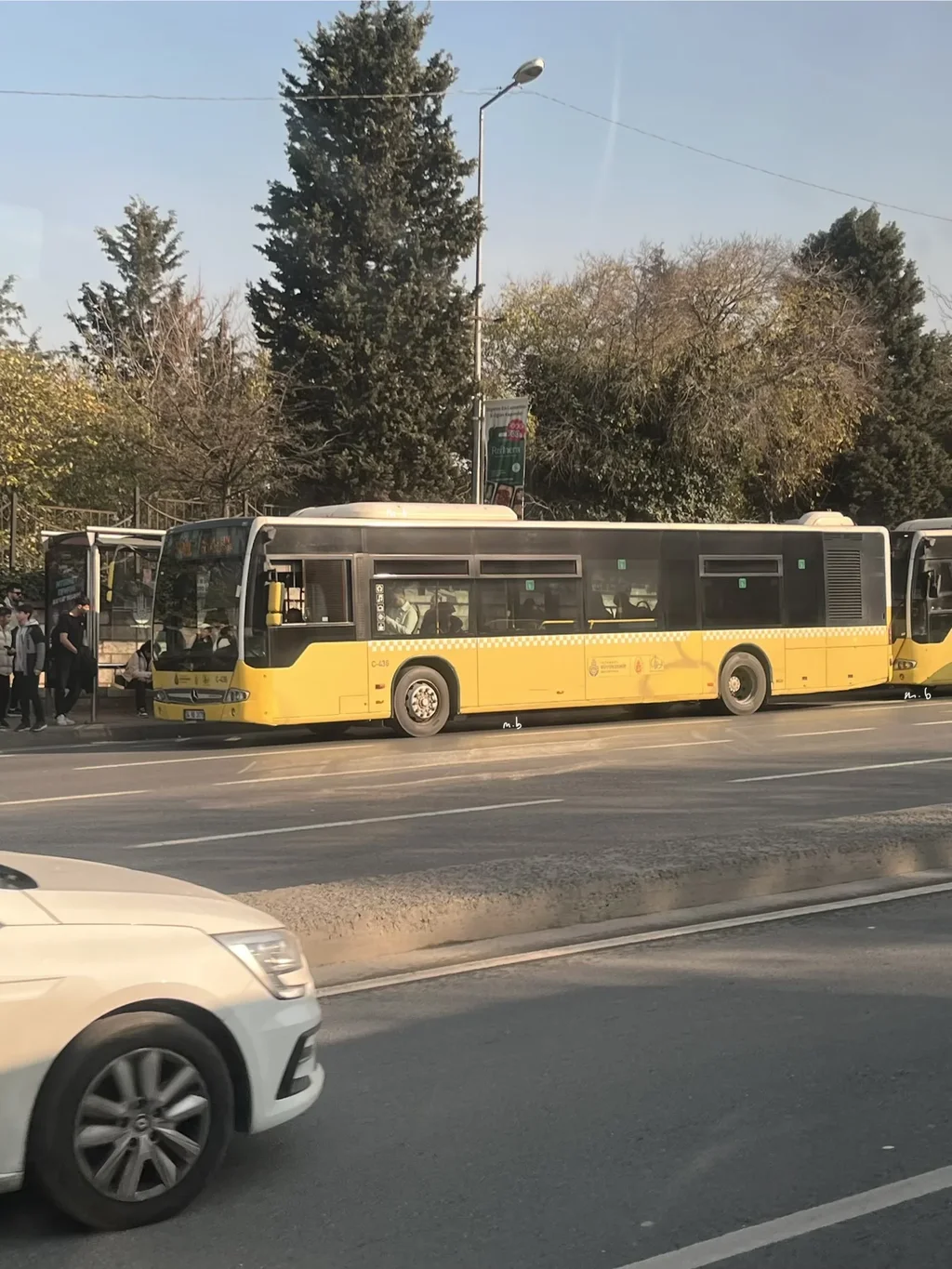 IMG_8721.jpeg IMG_8721.jpeg