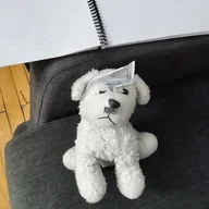 muhammedcevadozmen@gmail.