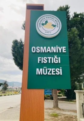 04d35ef4-632a-455c-b222-527bdc06f84d_h400