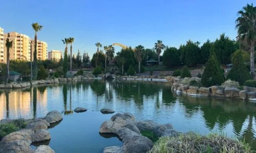 0F09263A-10EA-410D-A1F5-1EF69E7FE477-500x300