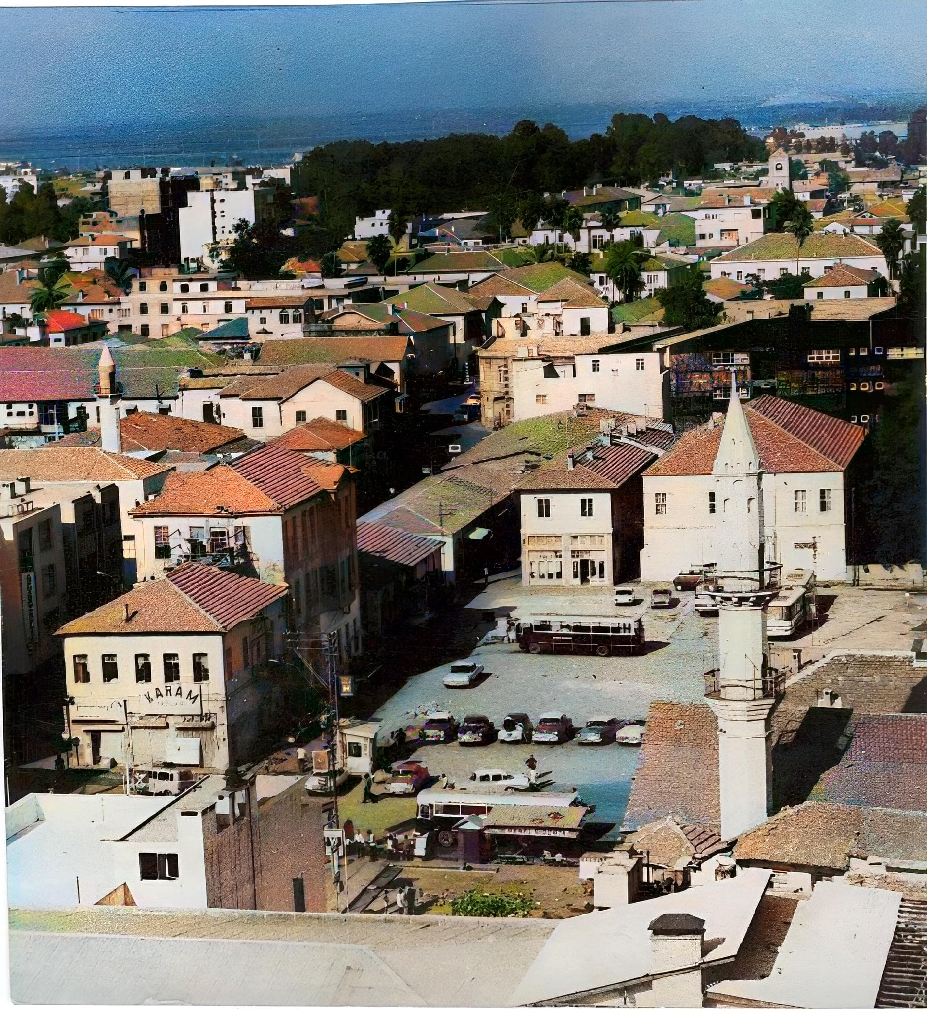 1000227569-colorized