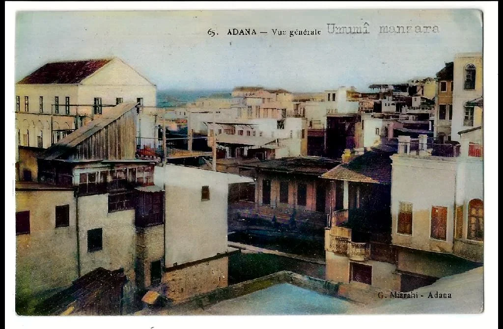 1000294535-colorized