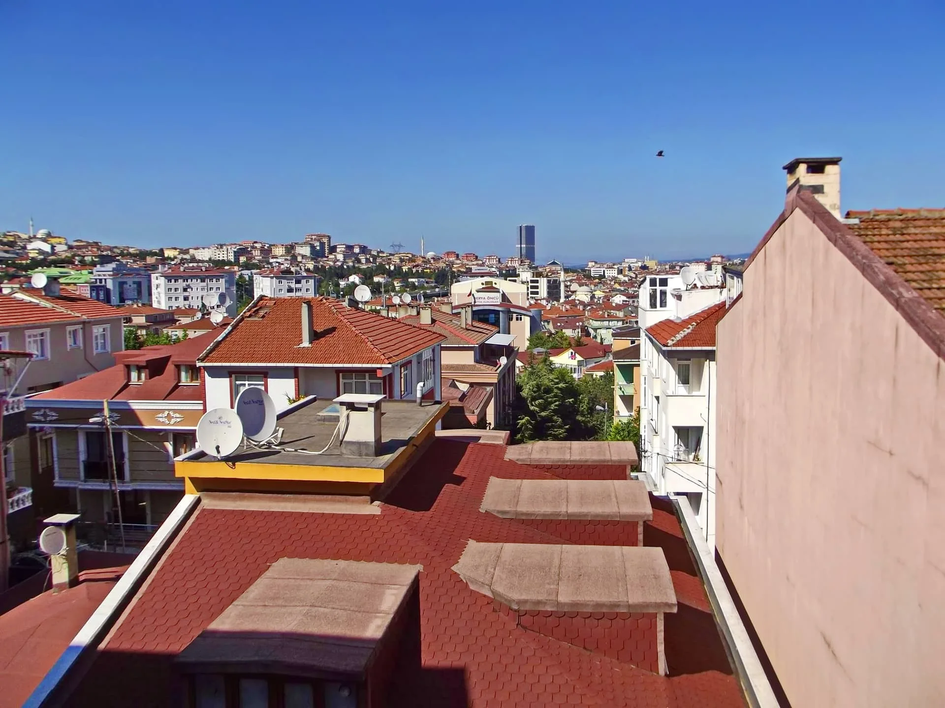 10561954_1436793996601219_403693330_o