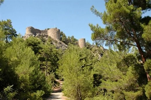 11savrandakalesi-medium-