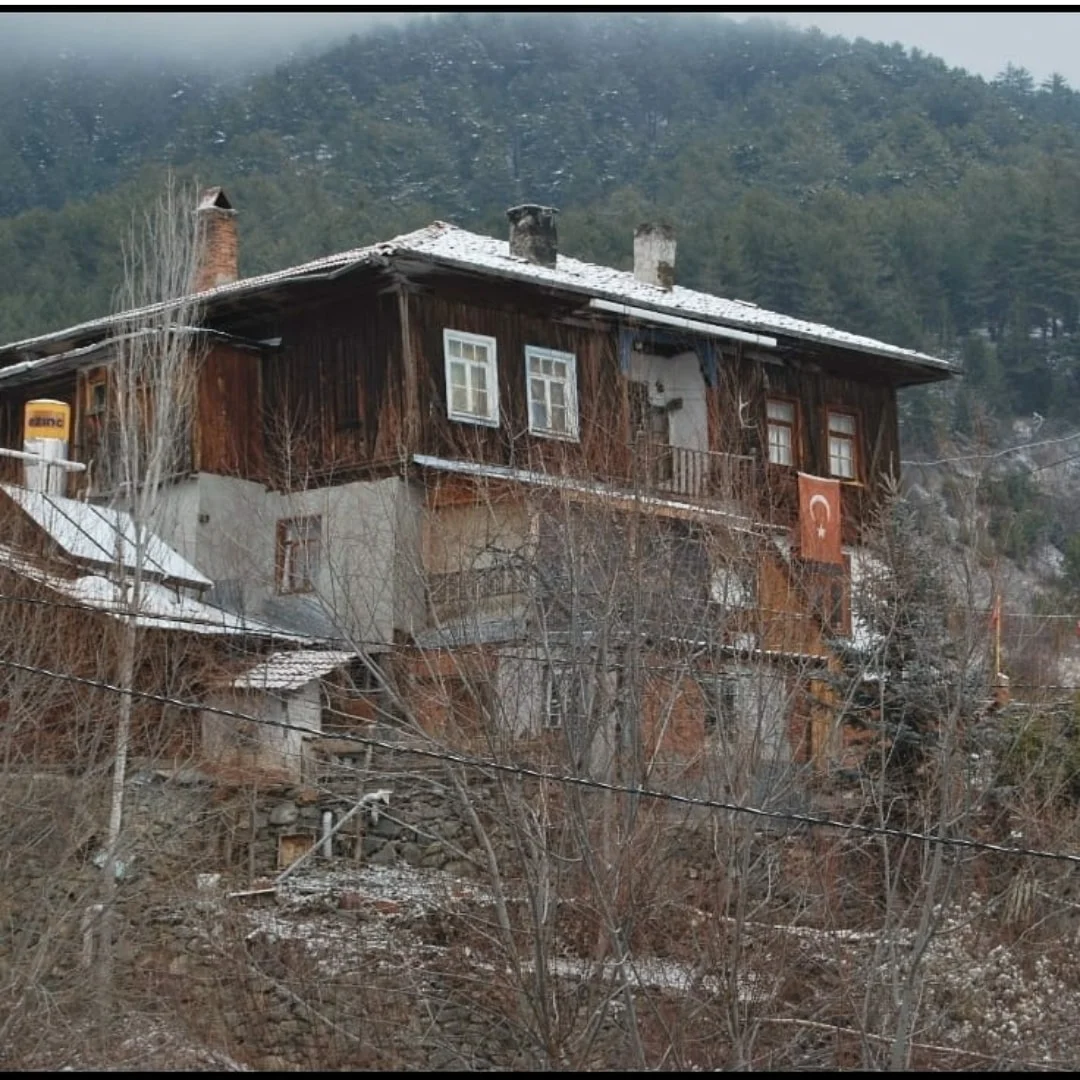 127056516_675130539872451_7099578220912894193_n