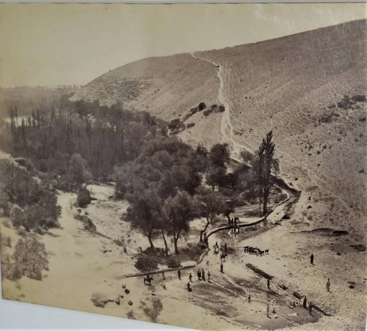 144bc129e21458950069bc6f056470d1