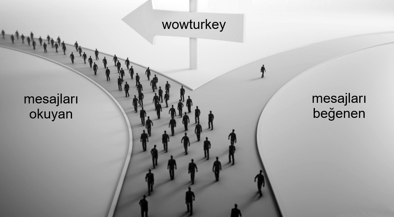 1685596610251 (1).jpg