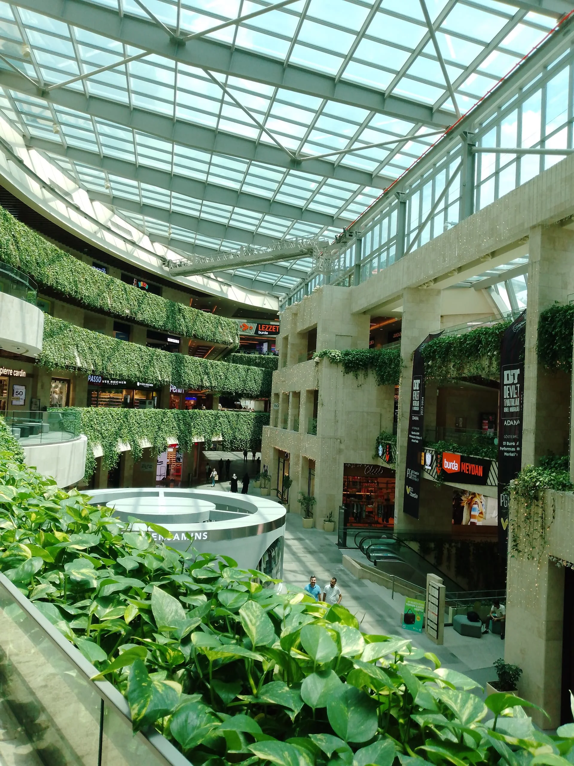 1717061905845352537062867733393