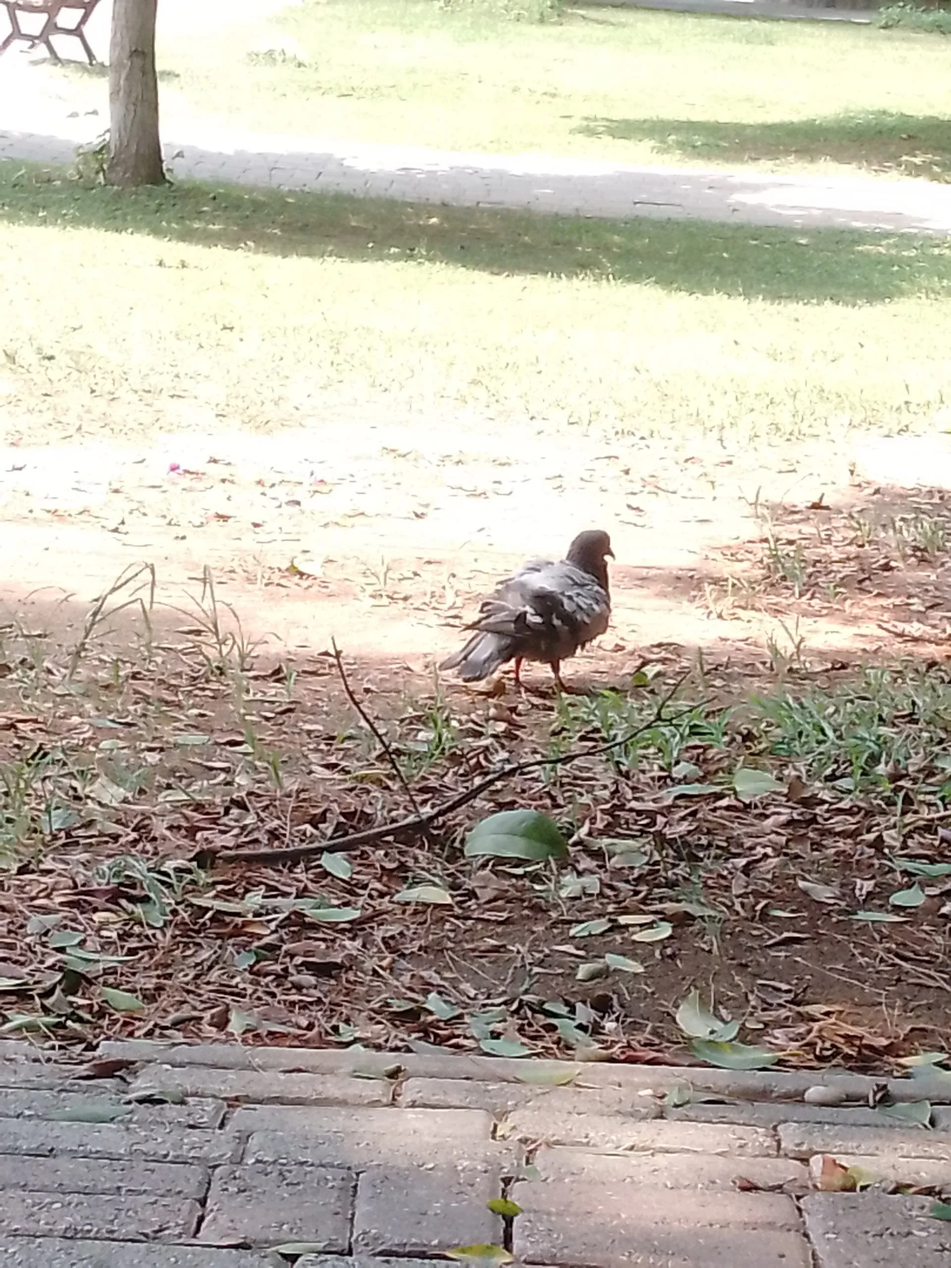 1723200846091579449528828402399