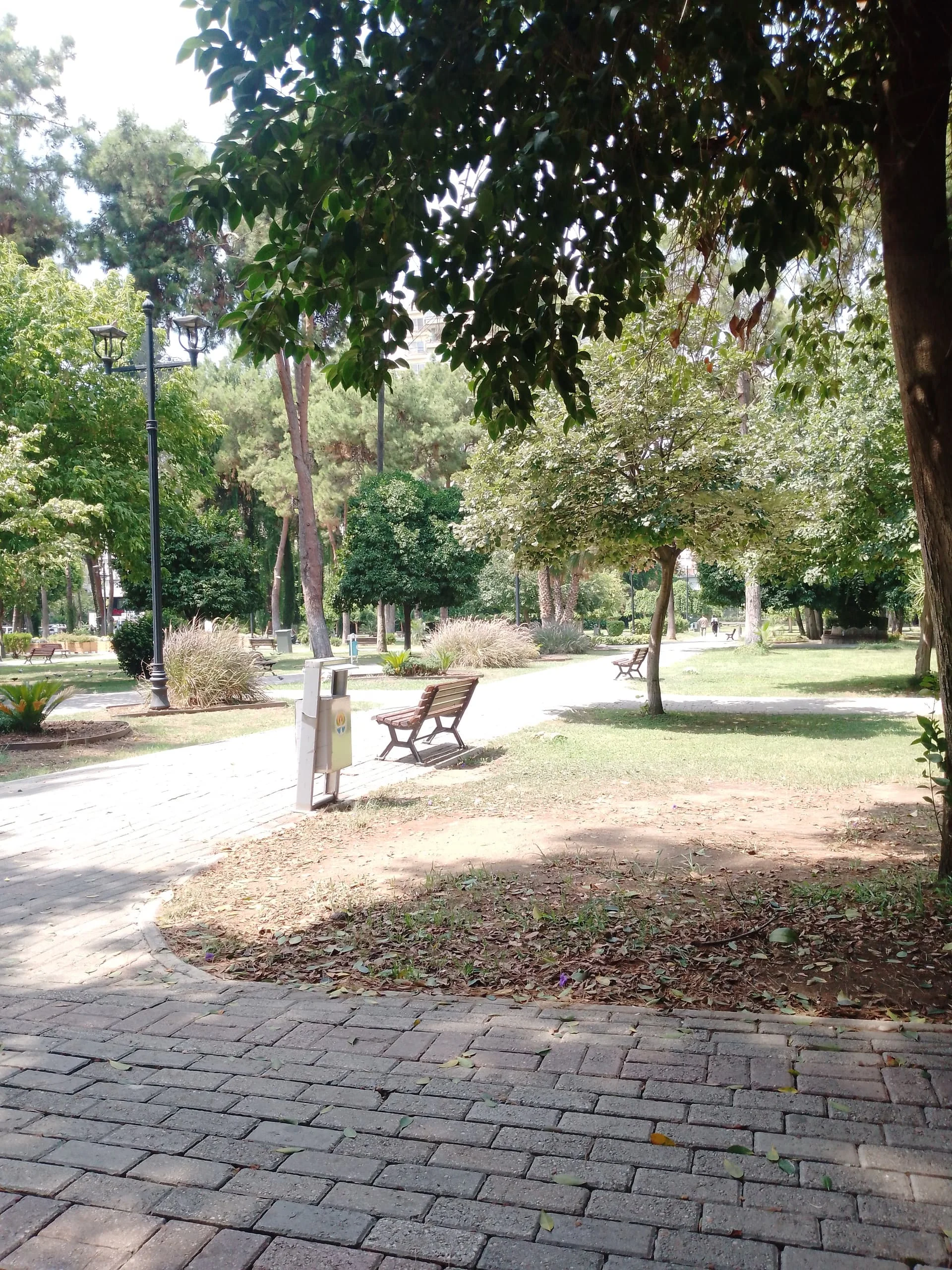 1723201009840143932142892082261