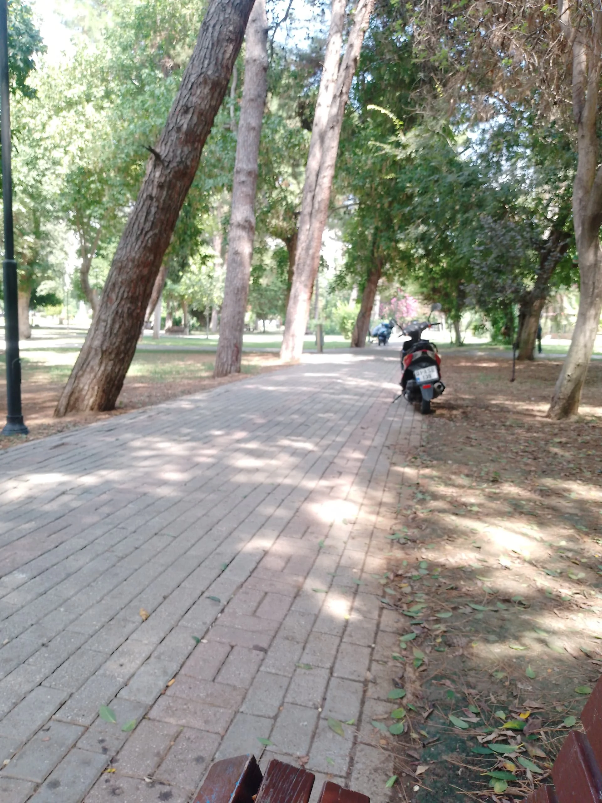 17232010513351503480406245110935