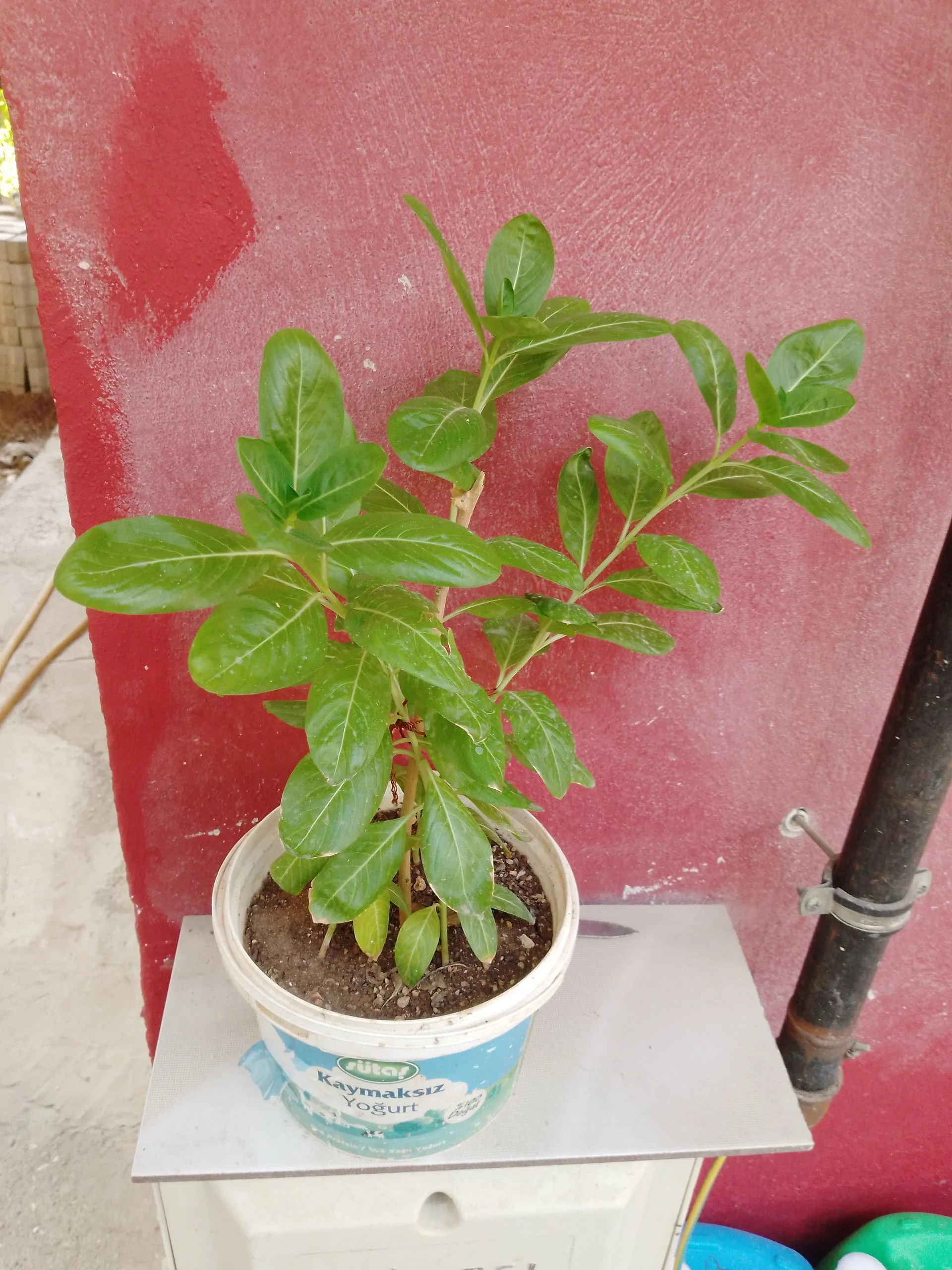 17242404472302340514863043410422