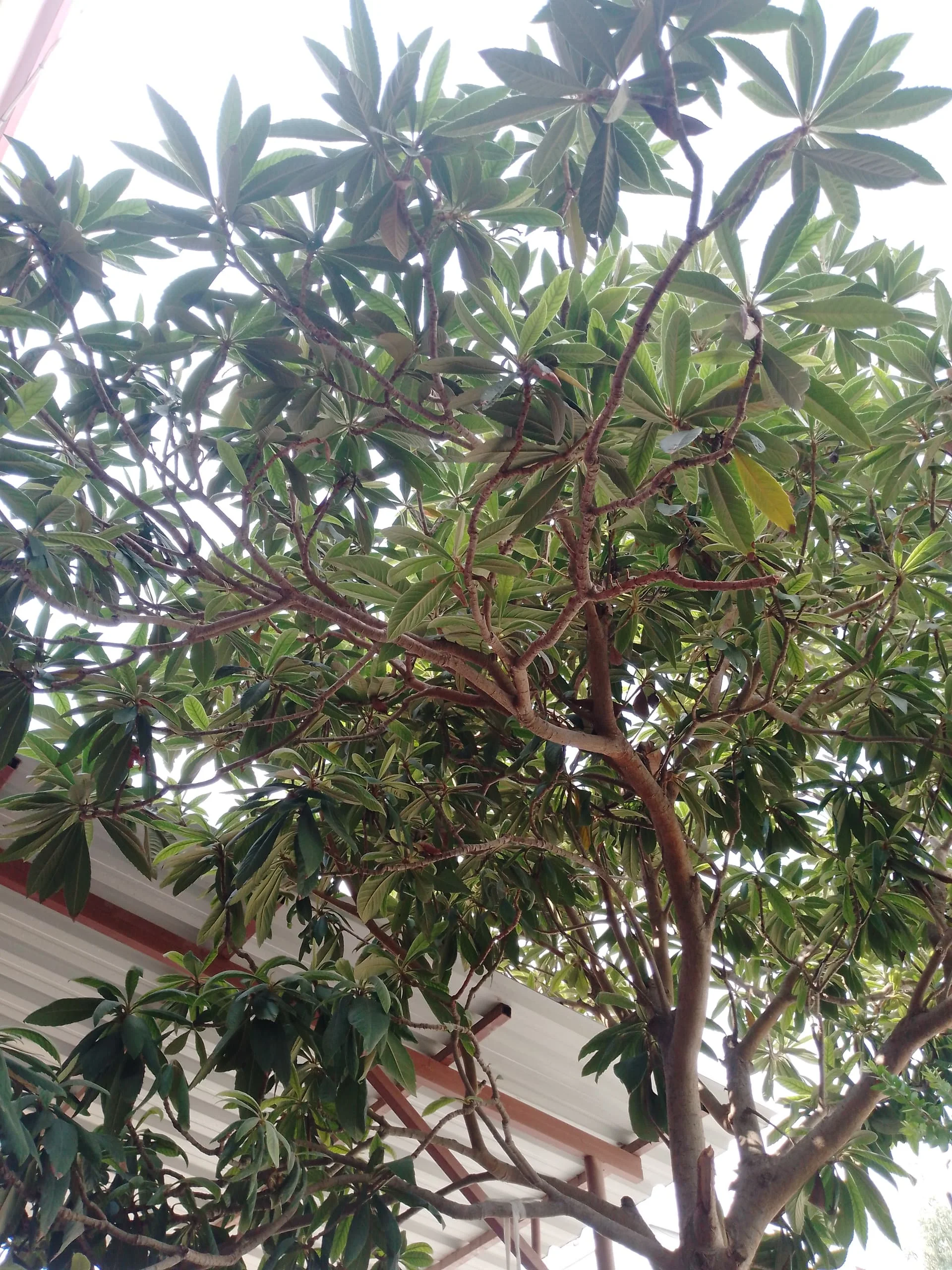 1724240602433118149712995089346