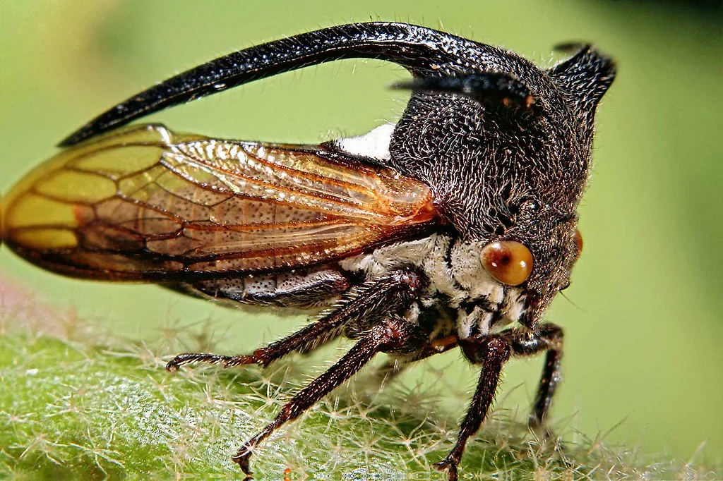 175425735_8bcc9bbfdd_b